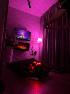 Body Station Studio