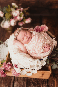 Domi Bobak Photography