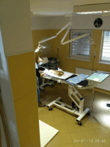 Veterinárna ambulancia Biely kríž